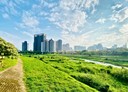 大園區-青山段土地，160.9坪