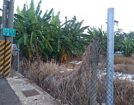 佳里興建地出租 - Image 2