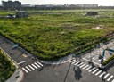 善化區-善福大道土地，1124坪