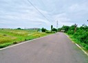 新化區-竹仔腳土地，962.9坪