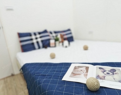 三重捷運，公寓2房，低樓層，高檔裝潢，全新整理，採光通風 - 591租屋網 - Image 3