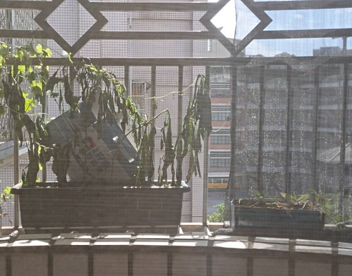 超強機能電梯華廈 - Image 3