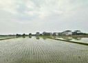 壯圍鄉-土地，871坪