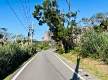 淡海新市鎮正二期一土地