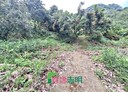 東山區-下南勢段土地，1481坪