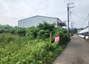 新社區-新南段土地，590坪