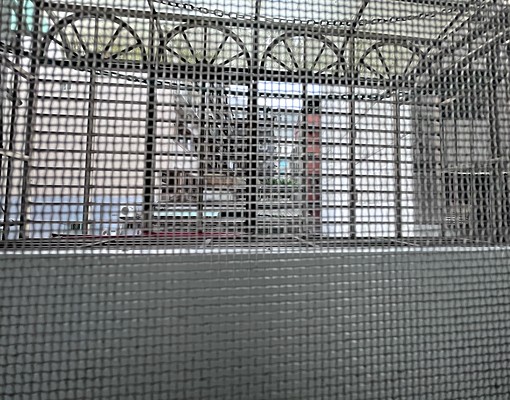 近捷運東湖站樂活公園美套房限女生 - Image 6