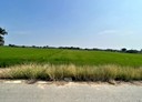 白河區-土地，811.9坪