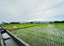 三星鄉-土地，2730.4坪