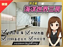 新豐街【冠軍】🎉海洋極品三..