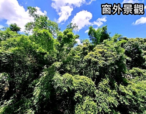 星野之森G區全新社區時尚菁英宅~含車位 - Image 9