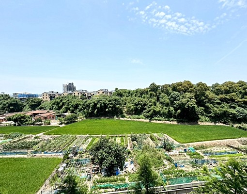 🏠【竹風樹海】縣三質感大三房平面車位 - Image 7
