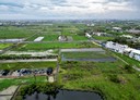 七股區-土地，123.1坪