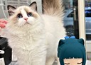 員林市-新生路3房2廳，26坪