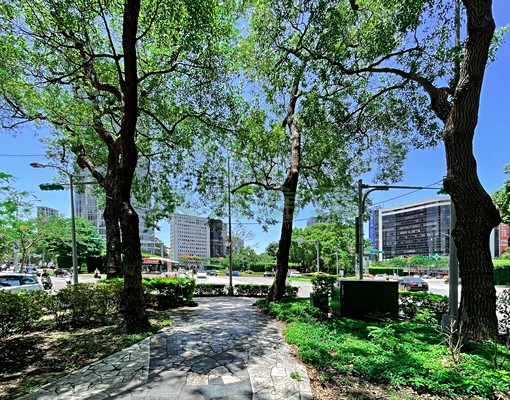 🏆忠孝敦化MRT🚩可租補仁愛圓環景觀高樓採光佳 - Image 15