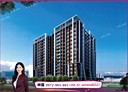 林口區-民權路2房2廳，33.3坪