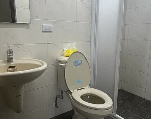 東區東門路一段一房一廳一衛可寵 - Image 10