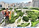 南屯區-惠文路3房3廳，130坪