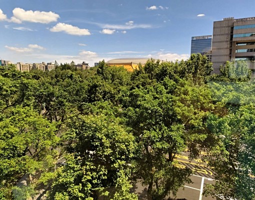 無敵樹海景觀仁愛林蔭大道新裝潢3+1房近捷運國父紀念館101 - Image 7