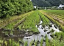 員山鄉-土地，302.9坪