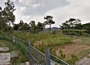 文山區-土地，49坪