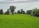 香山區-土地，688.4坪
