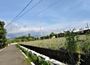 潮州鎮-土地，993坪