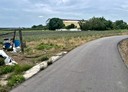 歸仁區-土地，517.2坪