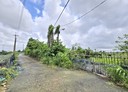 大樹區-土地，845.4坪