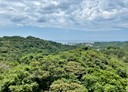 信義區-崇法街3房2廳，74.1坪