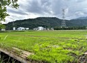 員山鄉-土地，816.8坪