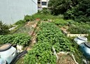 新豐鄉-康泰路土地，39.2坪