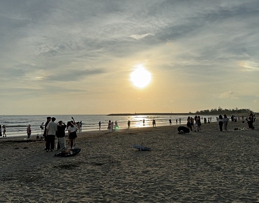安平近賞漁光島公園綠意景觀優質套房出租 - Image 9