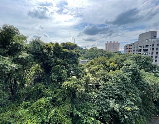 價可談~離塵不離城~星野之森面山精美兩房~屋主尋找優質租客 - 591租屋網 - Image 6