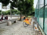 環境圖(7)