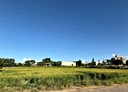 蘆竹區-土地，1719.5坪
