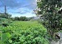 三峽區-土地，649.9坪