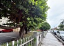 清水區-光華路土地，48.1坪