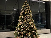 經武路1130巷91精選🏆橋頭鑫..