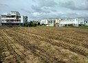 苑裡鎮-土地，879.5坪
