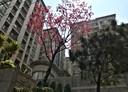 桃園區-大興路2房2廳，38.4坪