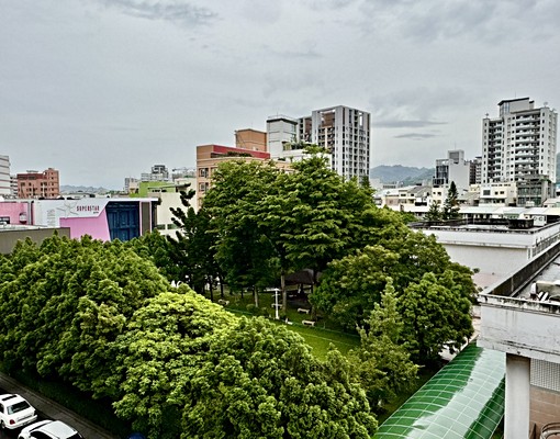 可貓.全新可租補.有廚房電梯.台水電.獨洗曬 - Image 4