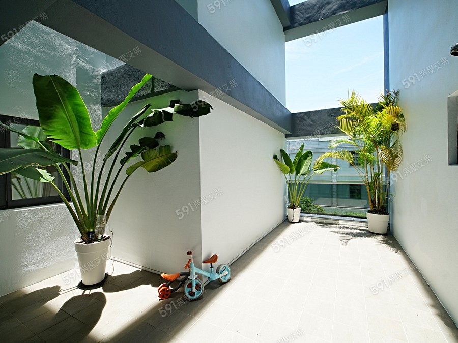 陸陸大順實景圖