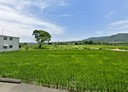 芎林鄉-竹林段土地，1095.5坪