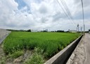 花壇鄉-口庄段土地，762坪