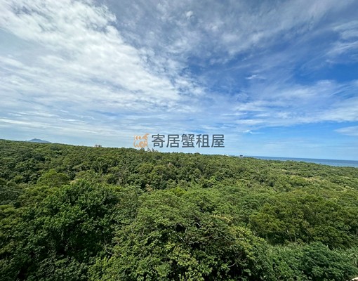 寄居蟹社會住宅🏠可租補~一卡皮箱輕鬆入住三芝熱帶嶼套房 - Image 6