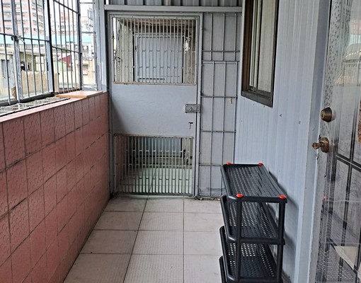 近新埔捷運｜5F頂加｜有天然瓦斯｜溫馨2大房（生活機能佳） - Image 9