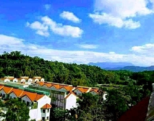 龍潭「遠眺台北101」景觀別墅 - Image 11