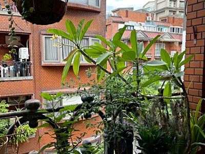 社區圖片