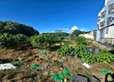 八德區-茄苳段土地，687坪